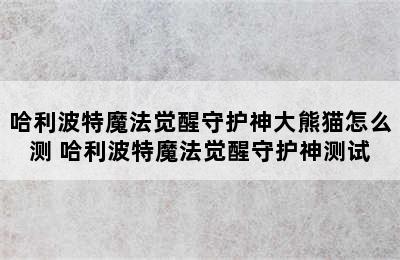 哈利波特魔法觉醒守护神大熊猫怎么测 哈利波特魔法觉醒守护神测试